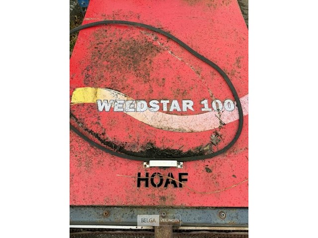 Onkruidbrander weedstar - afbeelding 4 van  6