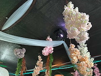 Onkyo - vonix equipment audiospeler - laserprojector - vlamprojector - afbeelding 4 van  12