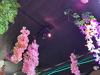 Onkyo - vonix equipment audiospeler - laserprojector - vlamprojector - afbeelding 11 van  12