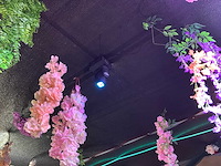 Onkyo - vonix equipment audiospeler - laserprojector - vlamprojector - afbeelding 12 van  12