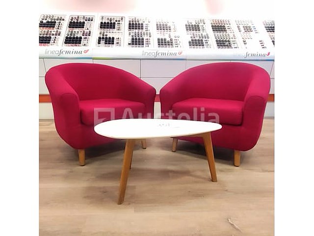 Ontvangstruimte: 2 fauteuils en salontafel - afbeelding 1 van  4