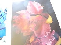 Oostkust kunst 2008 - afbeelding 5 van  5