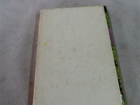 Op de ijzeren brug leesboek - afbeelding 3 van  3