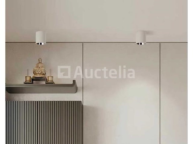 Opbouwarmatuur gu10 fitting- cilindrisch - wit / chroom (x10) - afbeelding 2 van  3