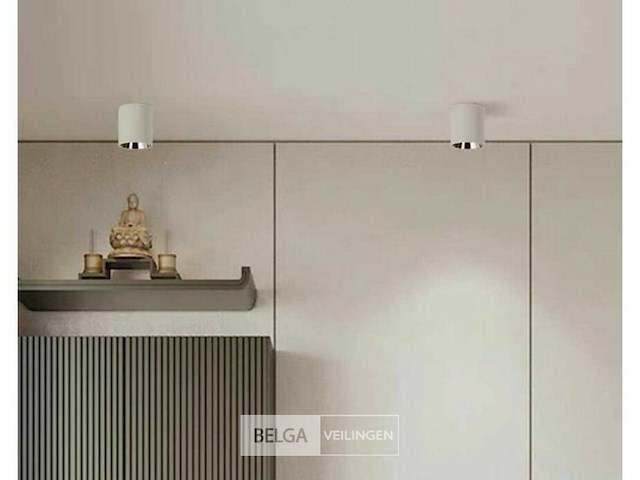 Opbouwarmatuur gu10 fitting- cilindrisch - wit / chroom (x10) - afbeelding 2 van  4