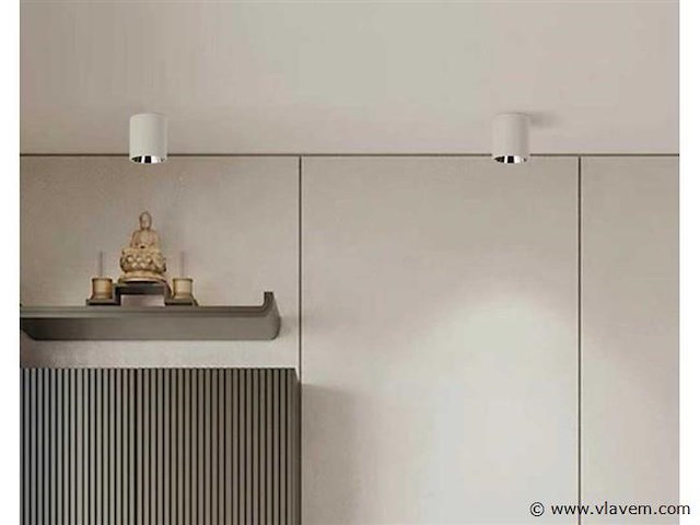 Opbouwarmatuur gu10 fitting. cilindrisch . wit / chroom (x10) - afbeelding 1 van  3