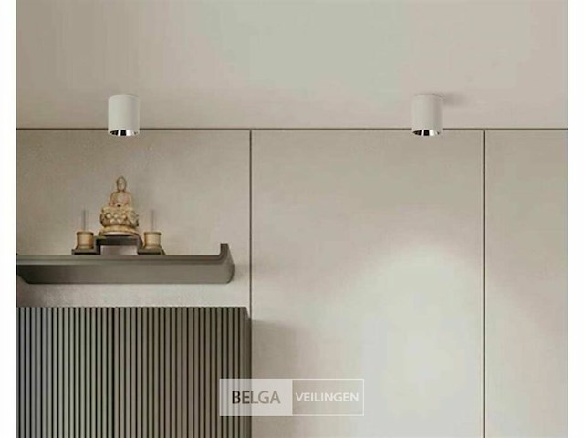 Opbouwarmatuur gu10 fitting– cilindrisch – wit / chroom (x10) - afbeelding 1 van  4