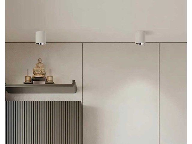 Opbouwarmatuur gu10 fitting– cilindrisch – wit / chroom (x20) - afbeelding 1 van  3