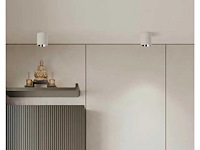 Opbouwarmatuur gu10 fitting– cilindrisch – wit / chroom (x20) - afbeelding 1 van  3