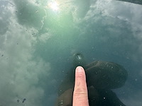 Opel calibra - afbeelding 9 van  23