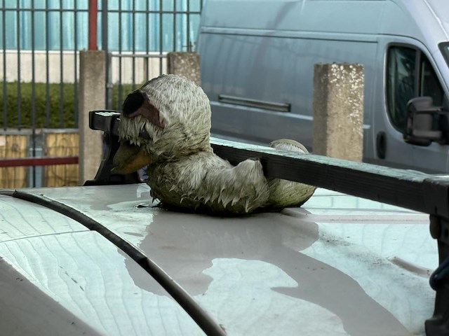 Opel combo, 2016 - afbeelding 13 van  22