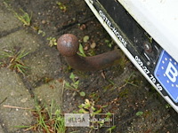 Opel corsa personenwagen - afbeelding 3 van  15