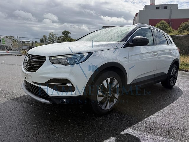 Opel grandland x 1.2 turbo ecotec edition (eu6.2), 2019 - afbeelding 1 van  33