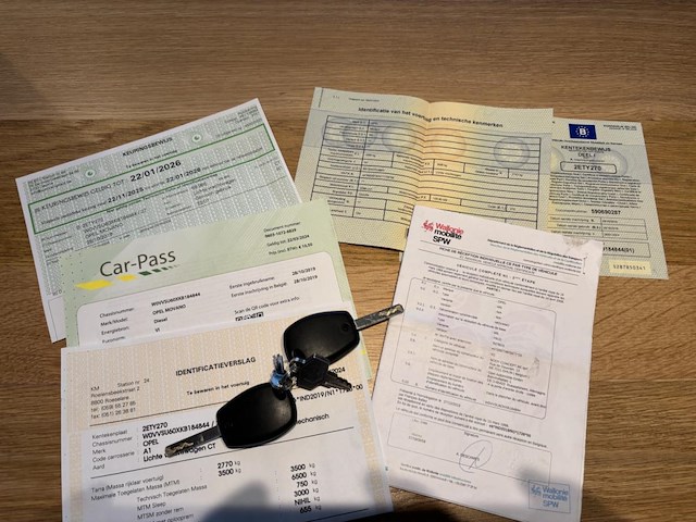 Opel movano, 2019 - afbeelding 25 van  38