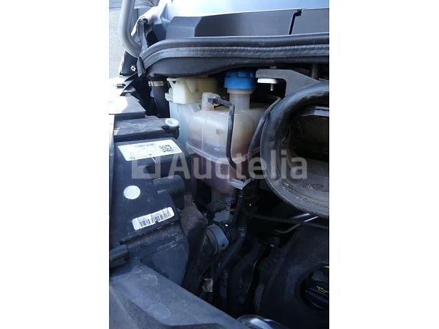 Opel movano koelwagen (2022-26,024 km) - afbeelding 46 van  83