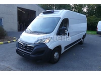 Opel movano koelwagen (2023-23,814 km)
