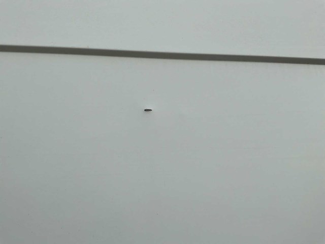 Opel novano van - afbeelding 39 van  51