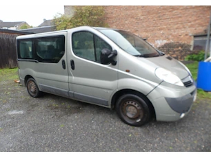 Opel vivaro en tuingereedschap