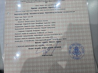 Open boot / runabout (pleziermotorboot) + aanhanger - afbeelding 7 van  16