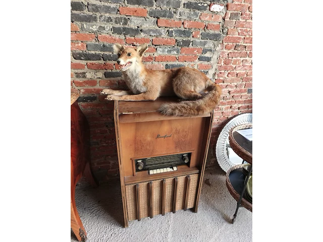 Opgezette vos en radiomeubel - afbeelding 1 van  2
