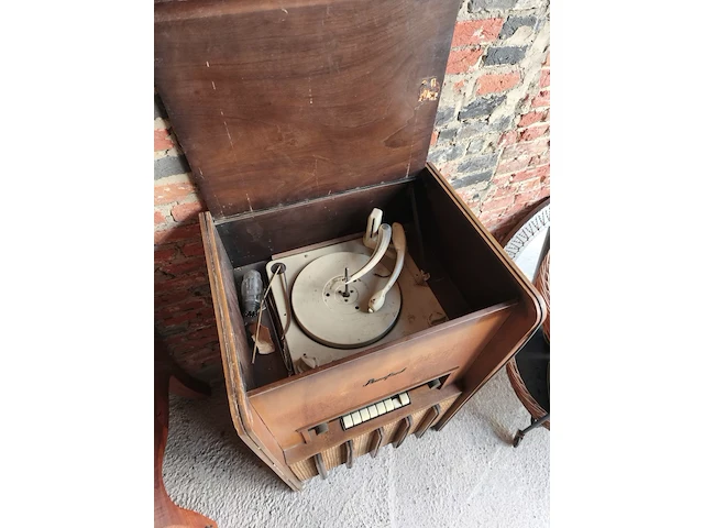 Opgezette vos en radiomeubel - afbeelding 2 van  2