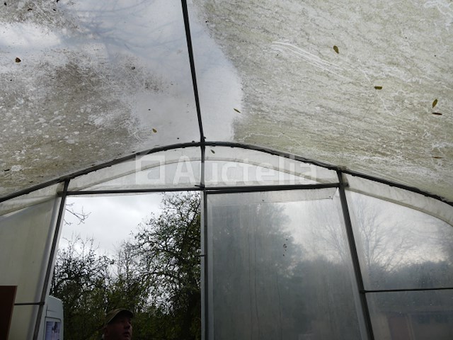 Opslagkas 8x5 meter - afbeelding 8 van  10