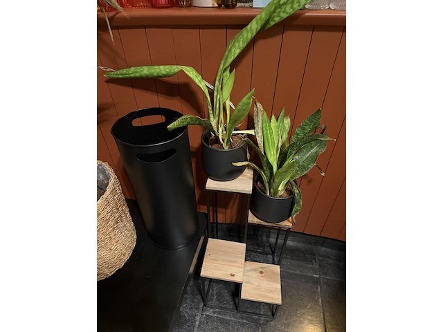 Opsmuk en versiering - afbeelding 3 van  9