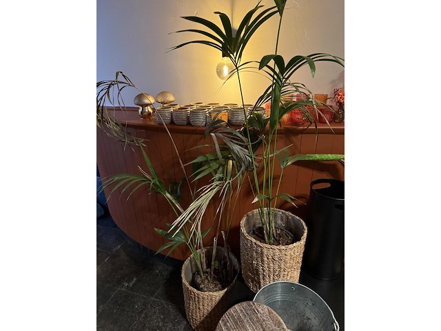 Opsmuk en versiering - afbeelding 4 van  9