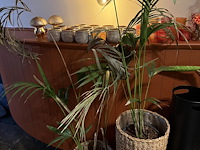 Opsmuk en versiering - afbeelding 4 van  9