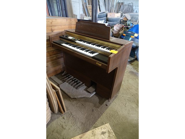Orgel honner - afbeelding 1 van  9