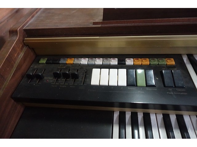 Orgel honner - afbeelding 4 van  9