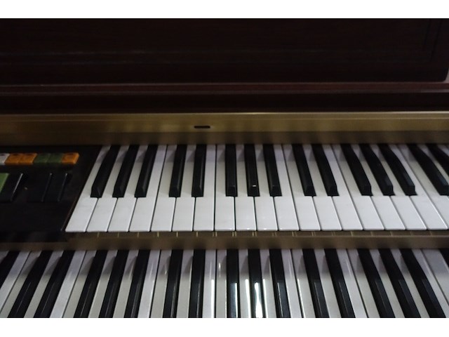 Orgel honner - afbeelding 5 van  9
