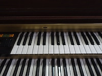 Orgel honner - afbeelding 5 van  9