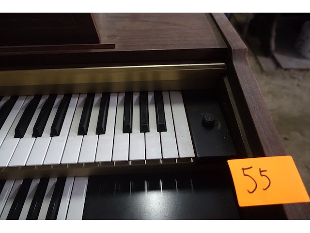 Orgel honner - afbeelding 6 van  9