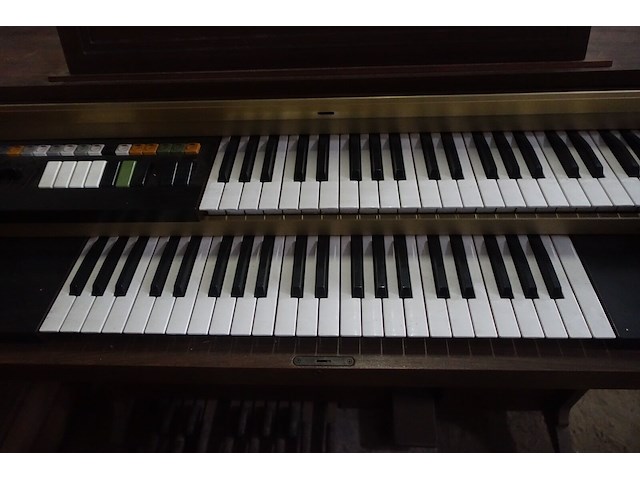 Orgel honner - afbeelding 7 van  9