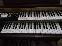 Orgel honner - afbeelding 7 van  9