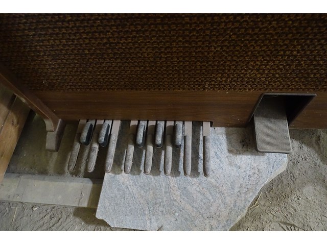 Orgel honner - afbeelding 8 van  9