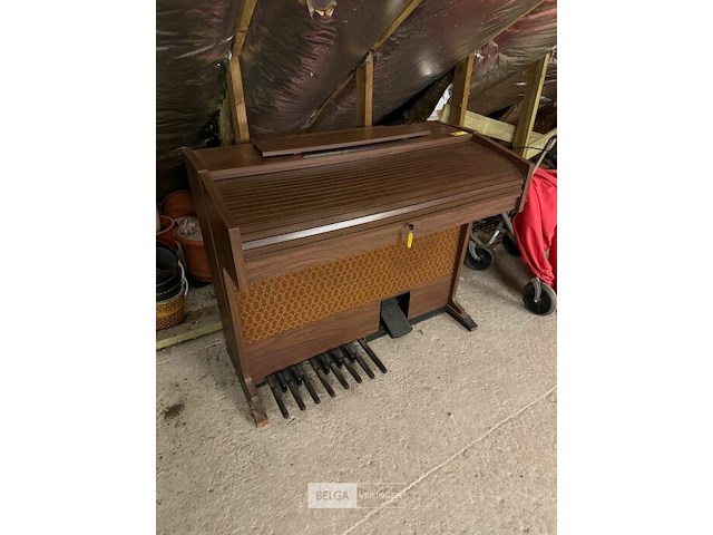 Orgel princess - afbeelding 2 van  7