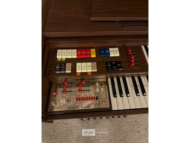 Orgel princess - afbeelding 3 van  7