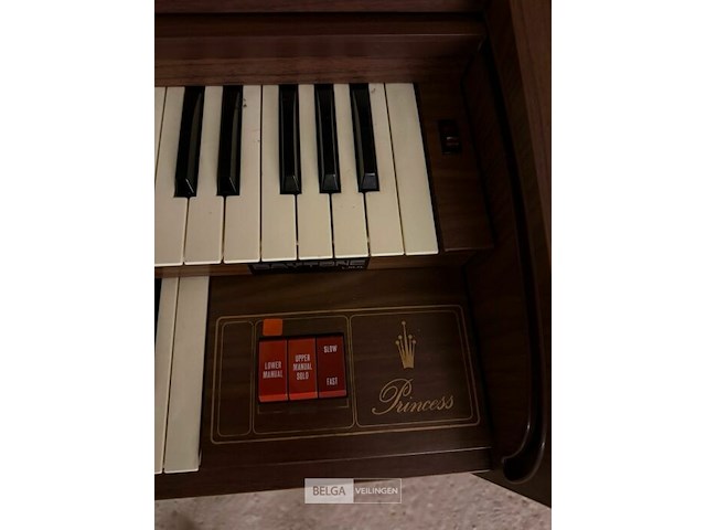 Orgel princess - afbeelding 4 van  7