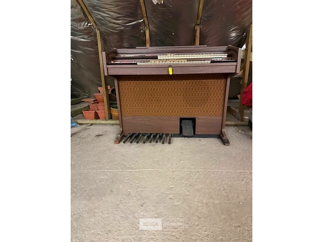 Orgel princess - afbeelding 5 van  7