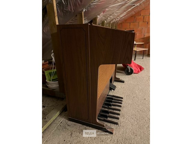 Orgel princess - afbeelding 6 van  7