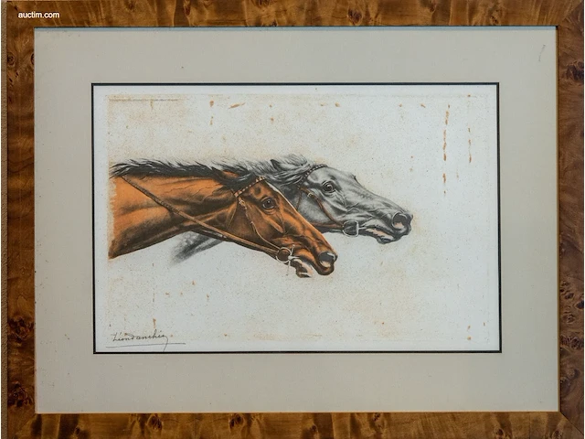 Originele handgekleurde gravure / lithografie van... - afbeelding 1 van  3