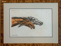 Originele handgekleurde gravure / lithografie van...
