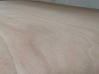 Osb-platen (33x) - afbeelding 5 van  5