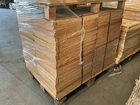 Osb platen (880x) - afbeelding 5 van  5
