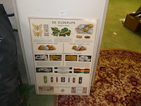 Oude affiche - afbeelding 1 van  2