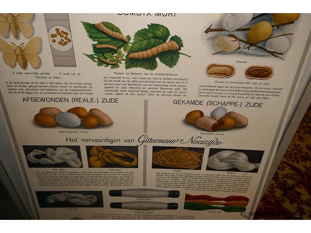 Oude affiche - afbeelding 2 van  2