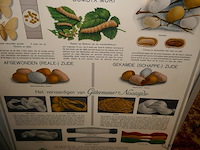 Oude affiche - afbeelding 2 van  2