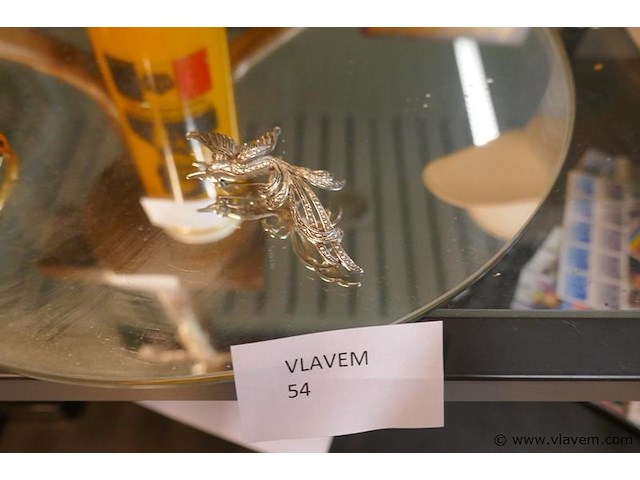 Oude broche - afbeelding 1 van  1